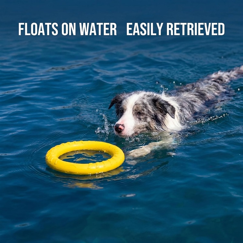 Flying Disc Dog Training Toy - Jouets pour chiens : Disques volants