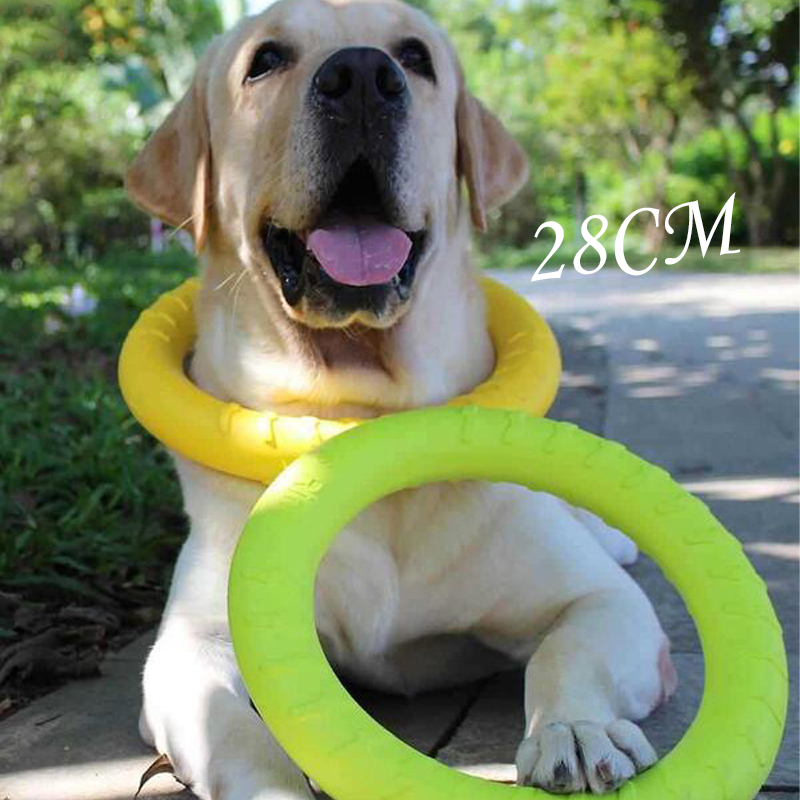 Jouets pour chiens : Disques v - Flying Disc Dog Training Toy avis et prix