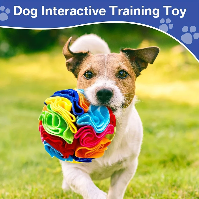Jouets interactifs pour chiens - Indestructible Dog Chew Toy avis et prix