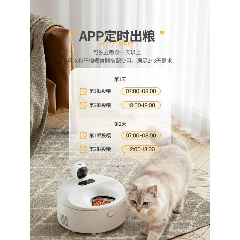 Distributeur automatique intel - Pet Feeders avis et prix