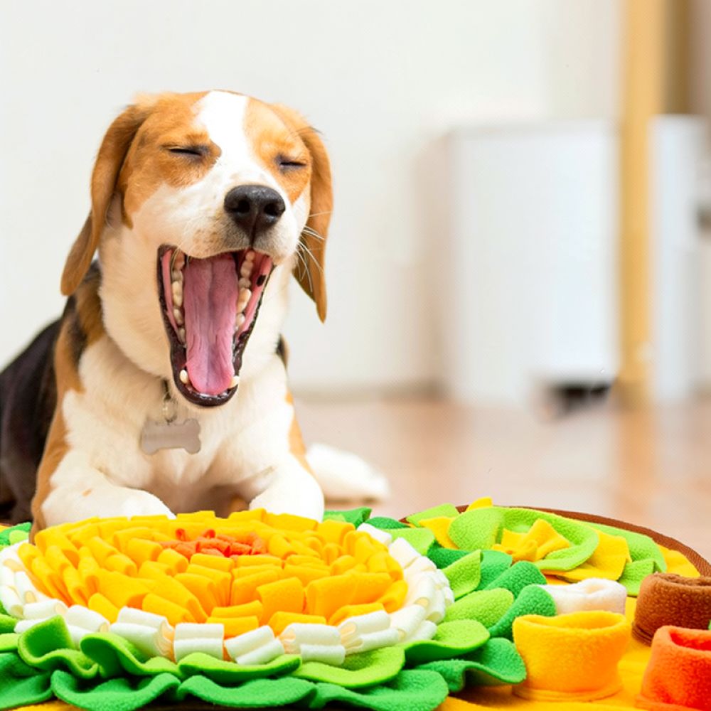 Tapis de recherche olfactive p - Dog Puzzle Feeder Toy avis et prix