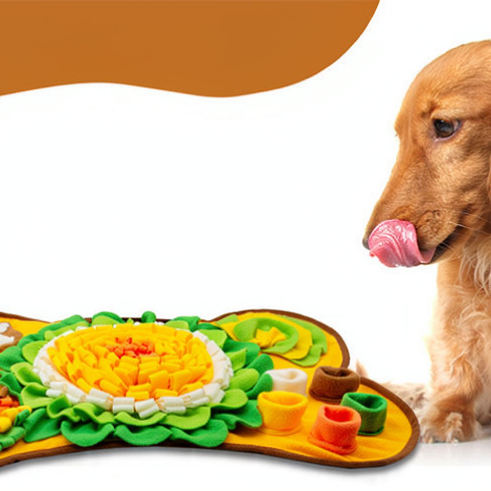 Tapis de recherche olfactive p - Dog Puzzle Feeder Toy avis et prix